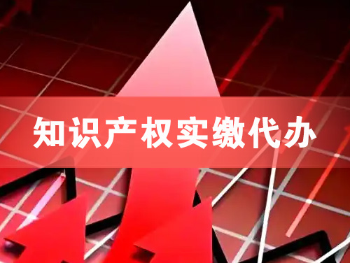 根河知识产权实缴资本代办